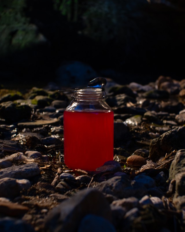 Ce que nous dit l'eau, les ruisseau des Aygalades