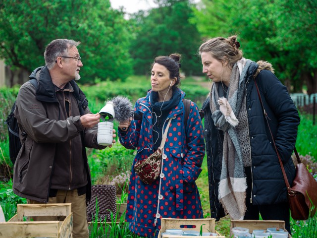 ARTS VIVANTS CULINAIRES
